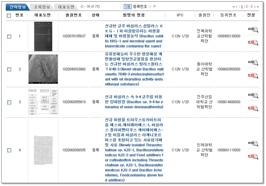 C-B 분석위한 특허 기술 Keyword 검색