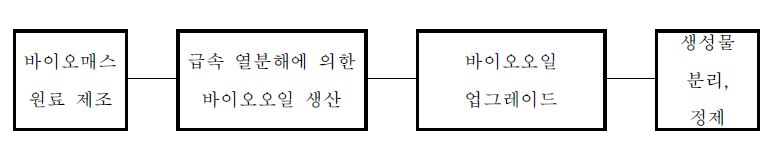 바이오매스의 열분해에 의한 액상연료 생산 공정