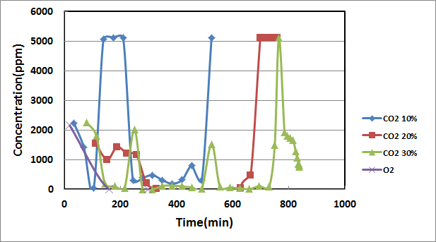 CO2혼합비에 따른 폐기물 열분해/가스화 반응기의 CO배출 농도