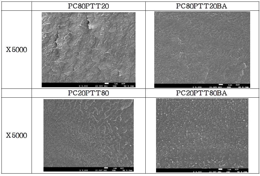 PC/PTT와 PC/PTT/PBAT 블랜드의 형태학 결과
