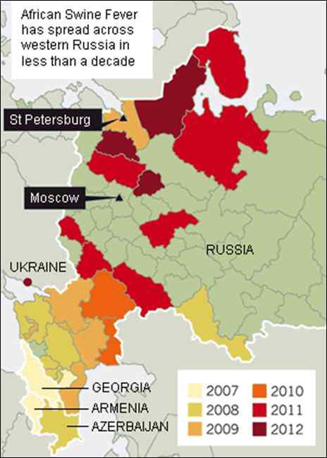 Russia: African swine fever.