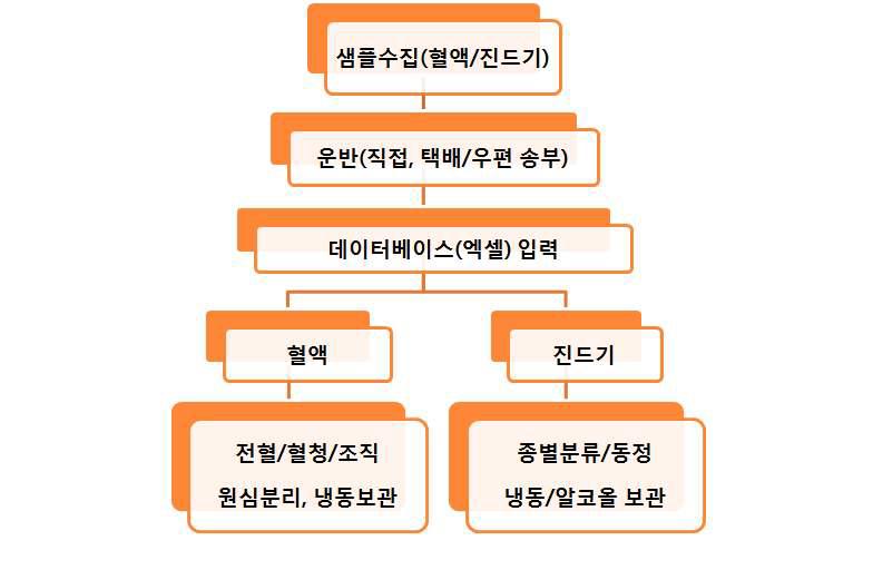 Contents of sample collection kit (above), transportation box(middle) and sample flow chart (below).