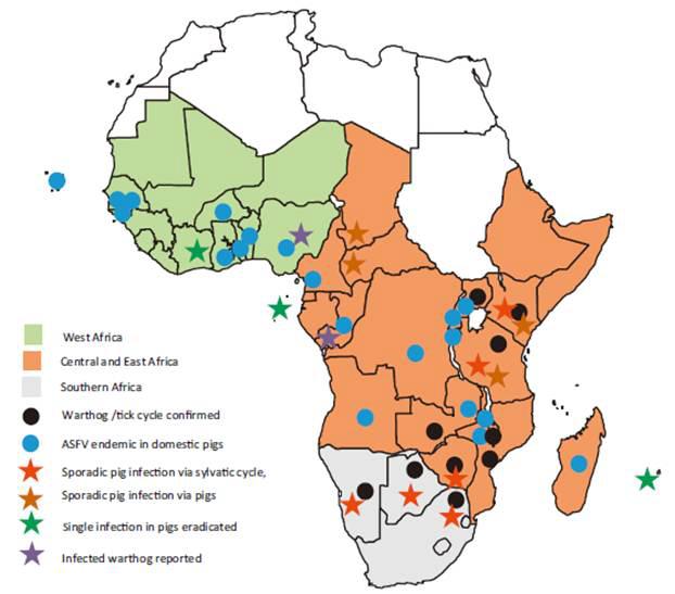 Distribution of African swine fever in Africa