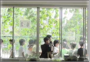 녹색커튼이 조성된 일본학교