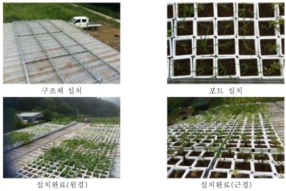 수직 실험구 설치과정 및 전경