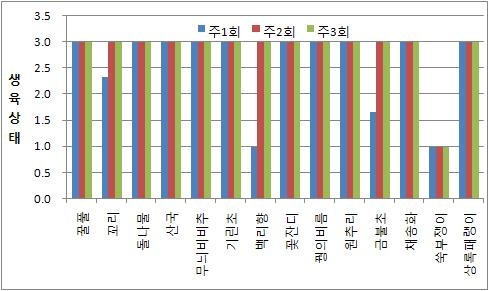 음료슬러지에서의 식물 생육상태