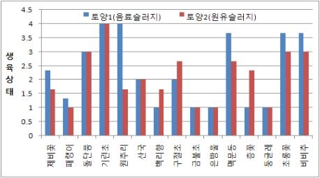 실내 벽면실험구 식물의 생육상태