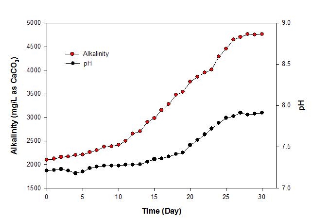 Bicarbonate alkalinity와 pH의 변화