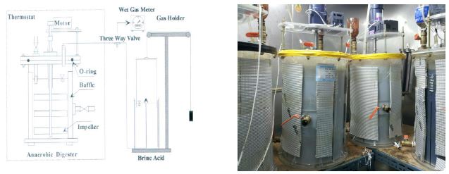혐기성 소화조 및 가스홀더