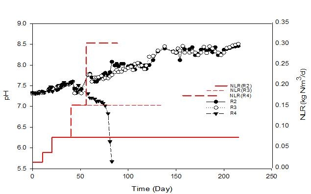 질소부하율에 따른 pH