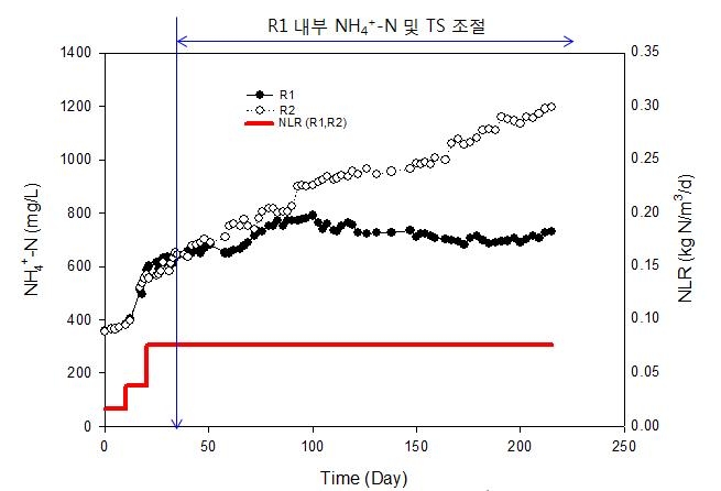 질소부하율에 따른 NH4+-N