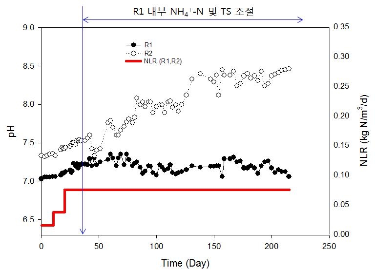 질소부하율에 따른 pH