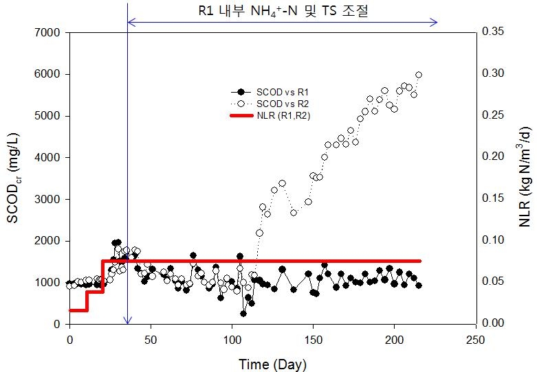 질소부하율에 따른 SCODcr