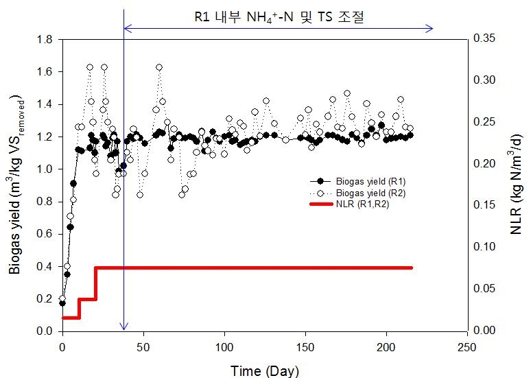 질소부하율에 따른 바이오가스 전환율 변화