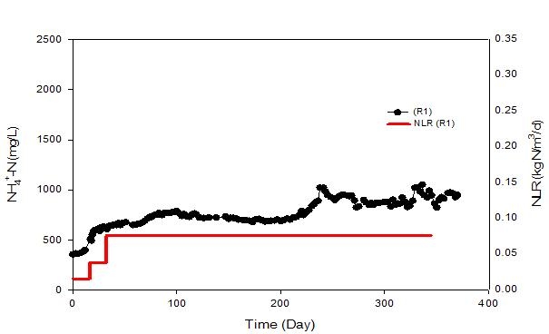 질소부하율에 따른 R1 지속운전 시 NH4+-N