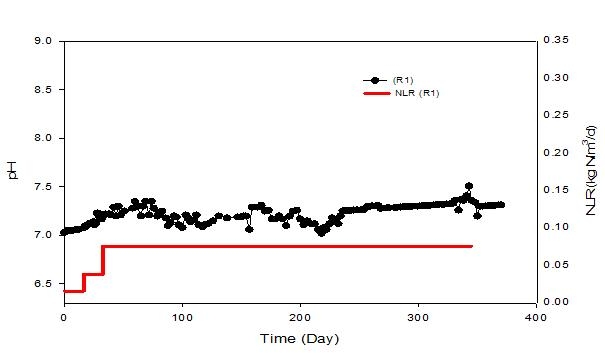 질소부하율에 따른 R1 지속운전 시 pH