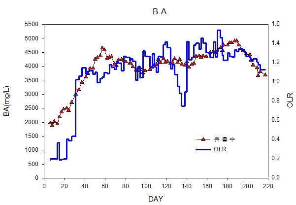 실증플랜트 운전에 따른 BA & 유기물부하율 변화