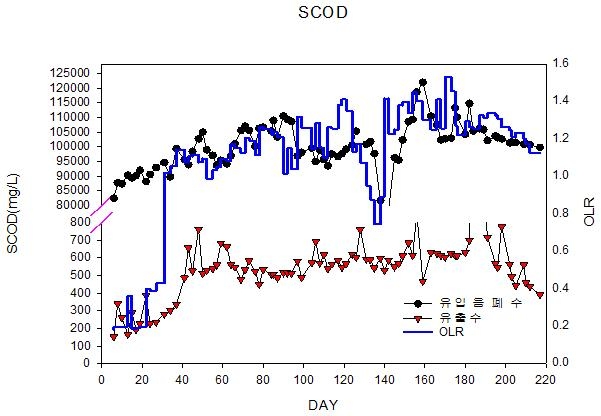 실증플랜트 운전에 따른 SCOD & 유기물부하율 변화