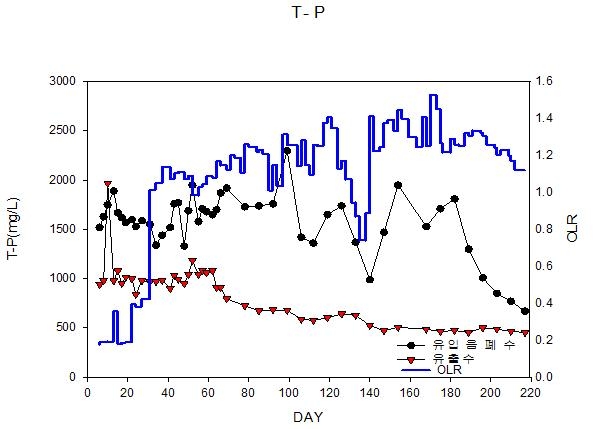 실증플랜트 운전에 따른 T-P & 유기물부하율 변화
