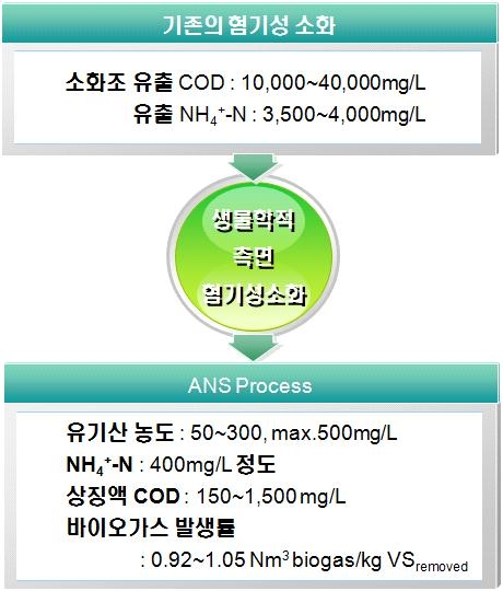 생물학적 측면의 혐기성 소화