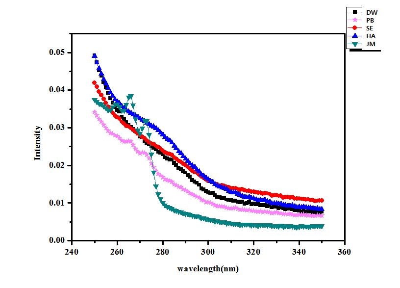 용출용액들의 UV spectroscopy 측정 결과