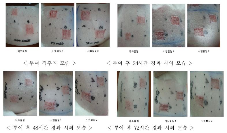 제모 된 토끼 등 표면에서의 시간경과에 따른 용출물로 인한 피부 감작 특성 검토 결과