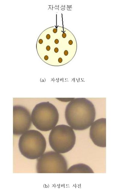 자성비드 개념도와 자성비드 사진