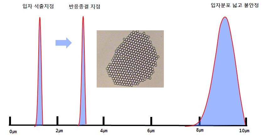 분산중합(dispersion polymerization)에서 입도분포 변화