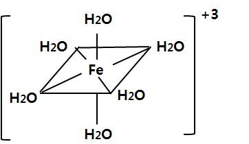 Fe+3 이온의 구조식