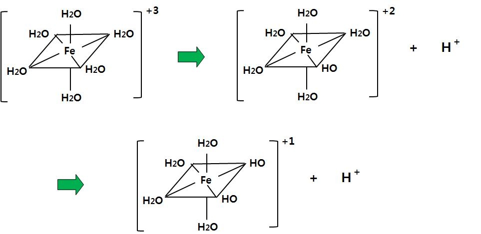 3가철 이온(Fe+3 )의 물속에서의 존재 형태