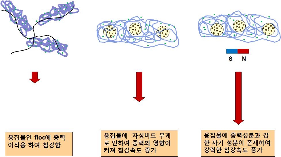 침강속도의 상대적인 비교