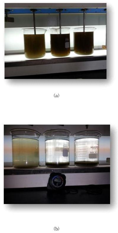 하수처리장 원수를 이용한 자테스터(jar tester) 응집 및 침강시험