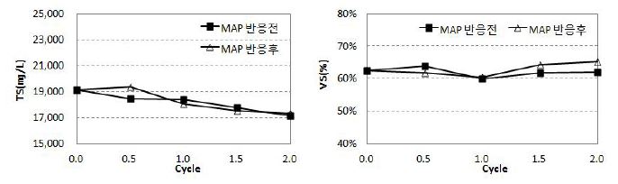 원슬러지의 TS(㎎/L) 및 VS(%)