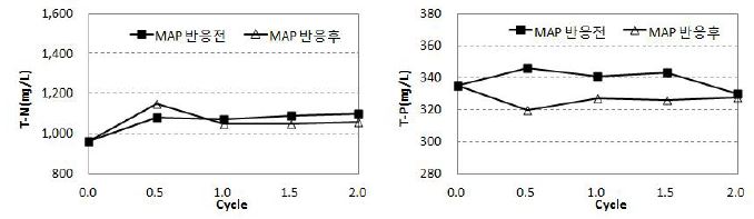 원슬러지의 T-N(㎎/L) 및 T-P(㎎/L)