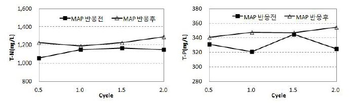 분리슬러지의 T-N(㎎/L) 및 T-P(㎎/L)