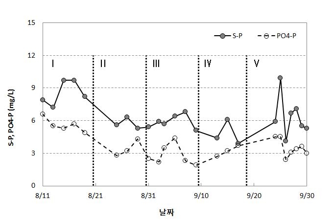 반류수내 인 화합물의 농도변화