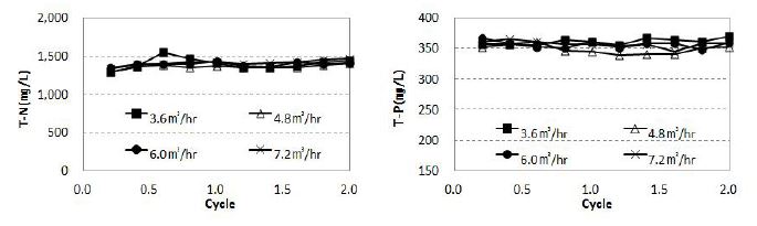 원슬러지의 T-N 및 T-P(㎎/L)