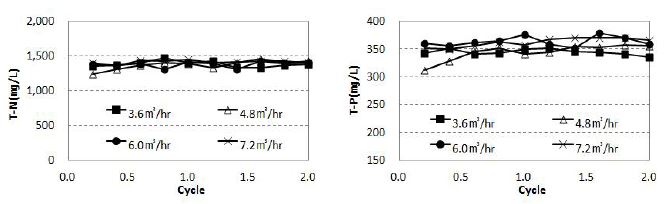 분리슬러지의 T-N 및 T-P(㎎/L)