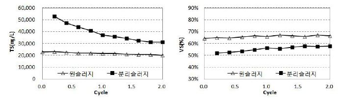 TS(㎎/L) 및 VS(%)