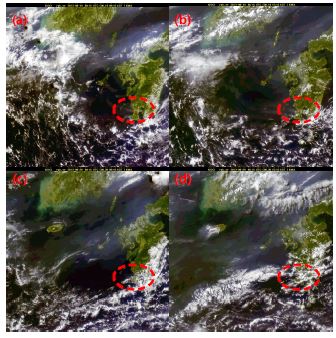 Fig. 3.3.2 The images of GOCI satellite for the Sakurajima