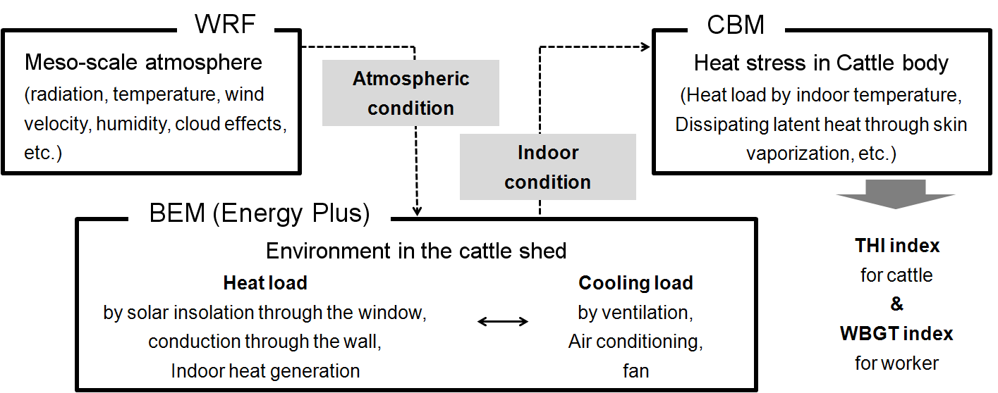 Fig. 3.4.1. Calculation flow of heat stress forecasting system for cattle and worker.