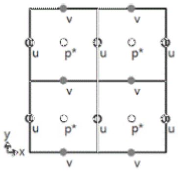 Fig. 2.1.4. 2-dimension staggered grid.