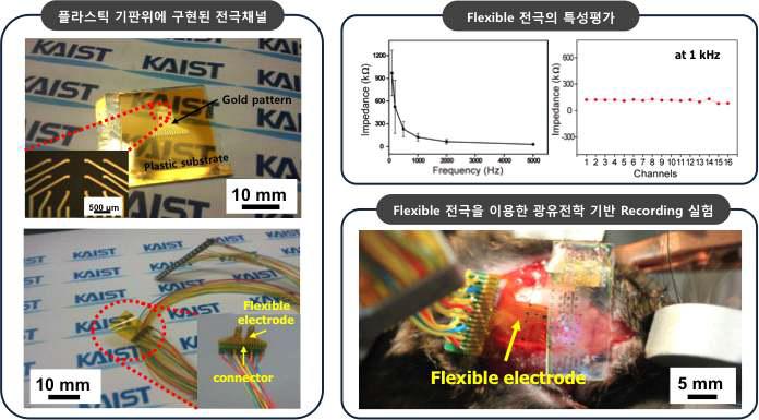 개발된 유연한 전극과 그 전극의 Impedance (좌측, 우측 위). 개발된 전극을 쥐의 뇌에 부착하고 전기 신호를 기록하는 실험 과정 (우측 아래).