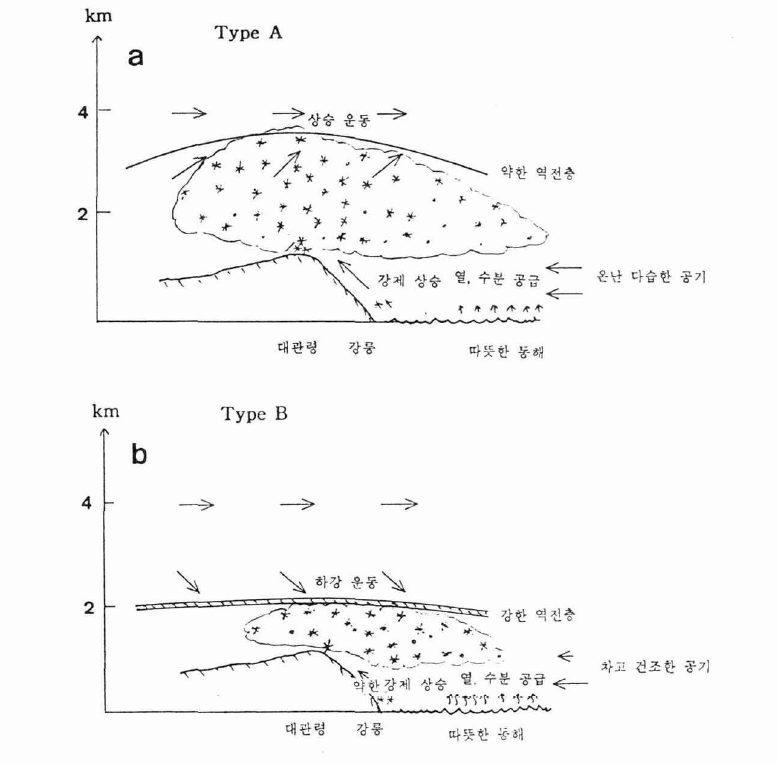 Schematic diagram for (a) Type A and (b) Type B