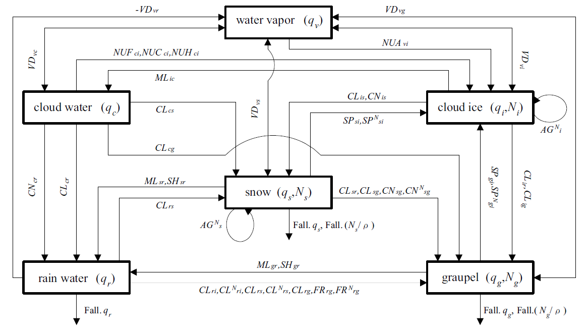 Schematic diagram illustrating the hydrometeors and cloud microphysical processes in the bulk scheme of CReSS