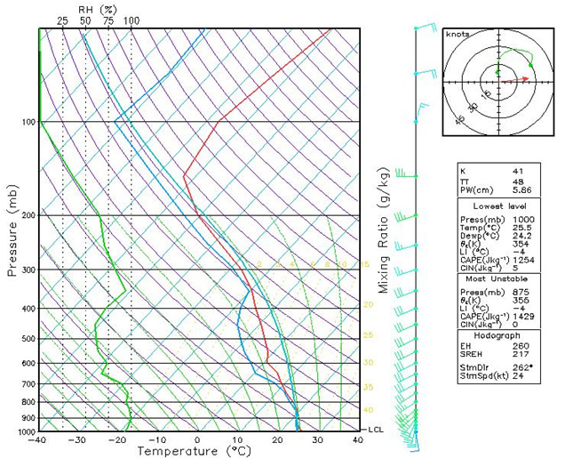 An example of UM-12km forecast soundings used as initial fields of CReSS cloud model ensemble