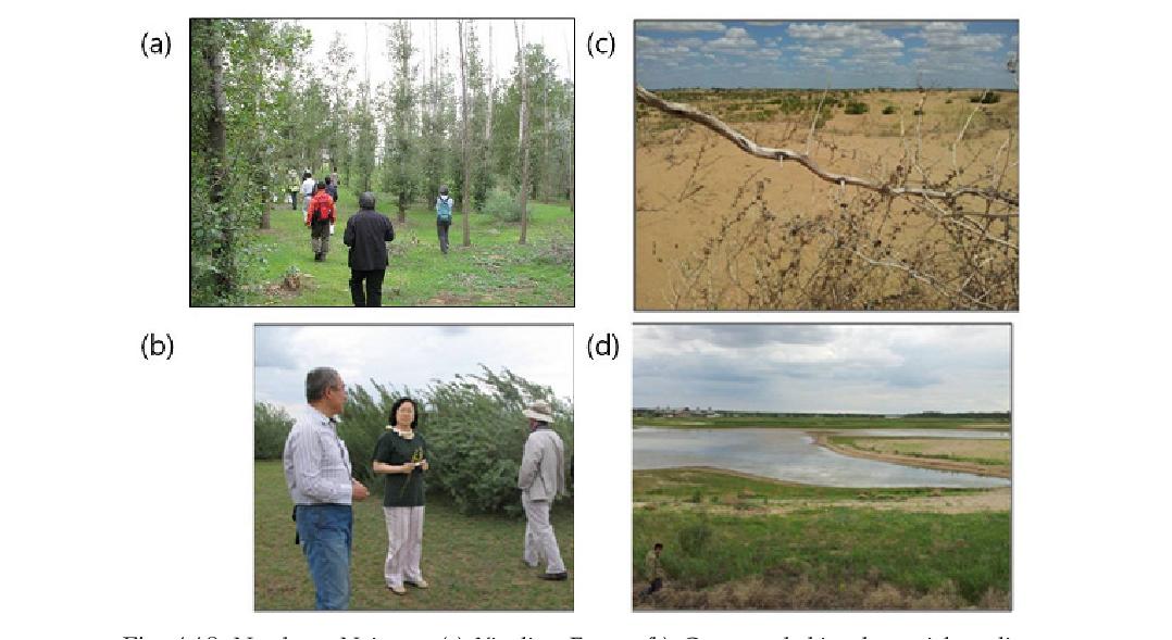 Northern Naiman. (a) Xingling Forest, (b) Caragana habitat by aerial seeding, (c) Caragana habitat rear the dried grass, (d) Mengjiaduan lake.