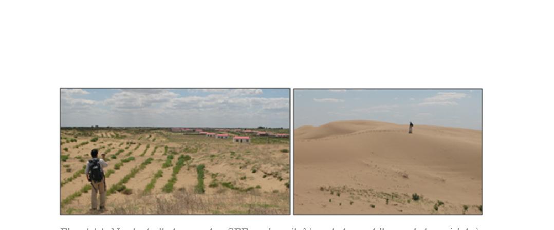 Newly built houses by GEF project (left) and the mobile sand dune (right).