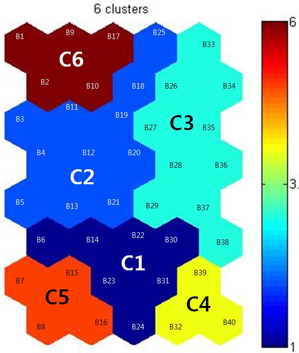 Fig. 3.1.32. Pattern of clusters for homogeneous region of precipitation in Korea