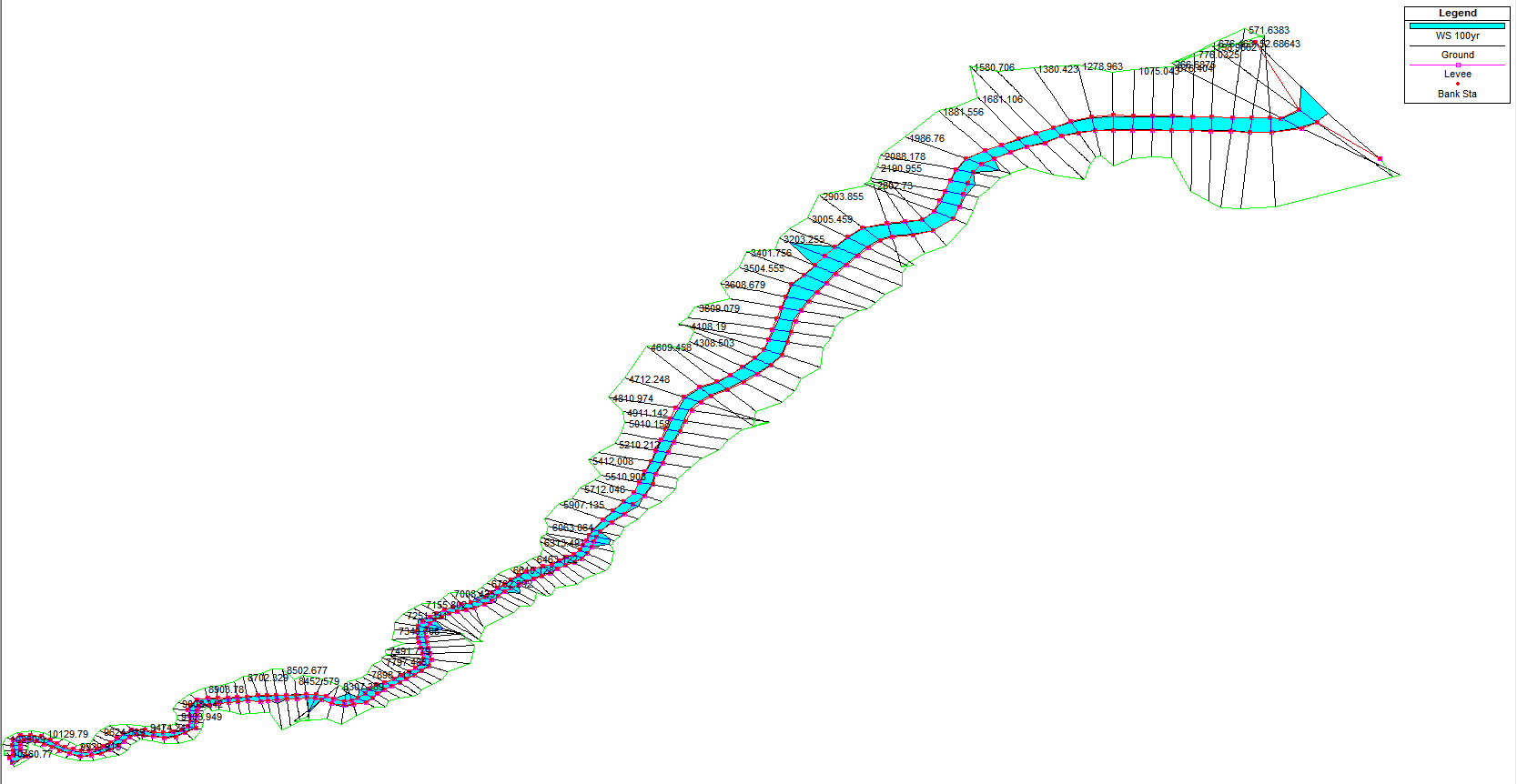 Fig. 4.5.17. HEC-RAS 100year frequency simulation results